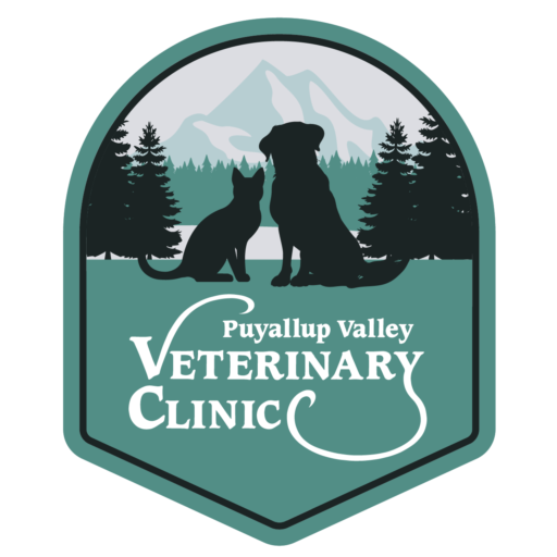 Best Vet in Puyallup | Puyallup Valley Veterinary Clinic