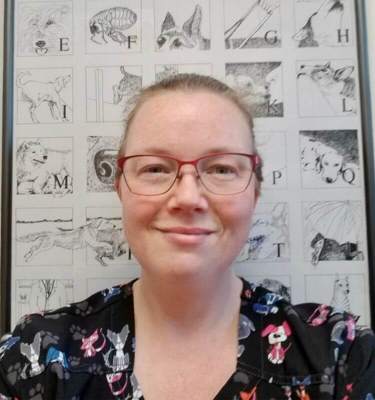 Puyallup Valley Vet - Tiffany Veterinary Assistant Placeholder Image