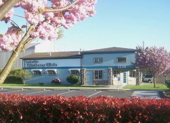 puyallup valley veterinary clinic building